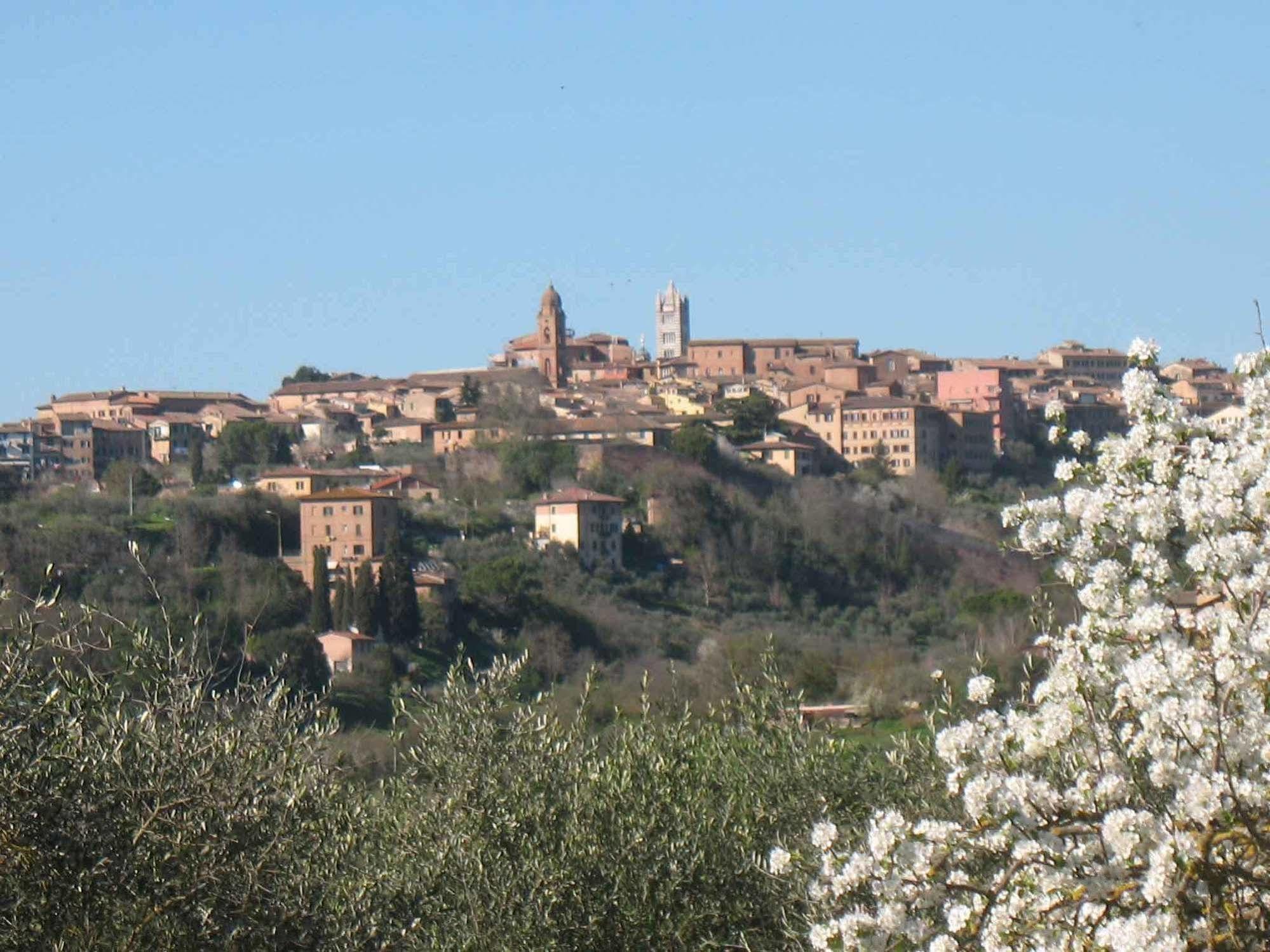 Agriturismo La Torretta Siena Exterior foto